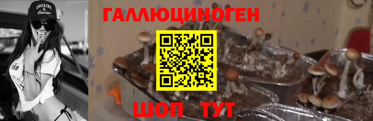 Галлюциногенные грибы ЛСД Ялта